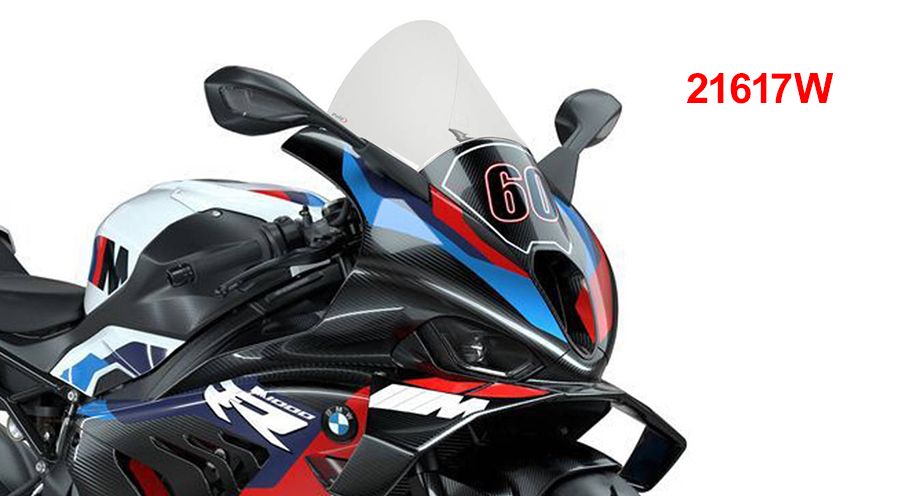 BMW S1000RR (2019- ) フロントガラスR-Racer